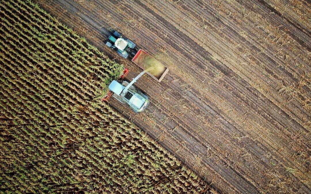 7 ways agriculture affects your daily life